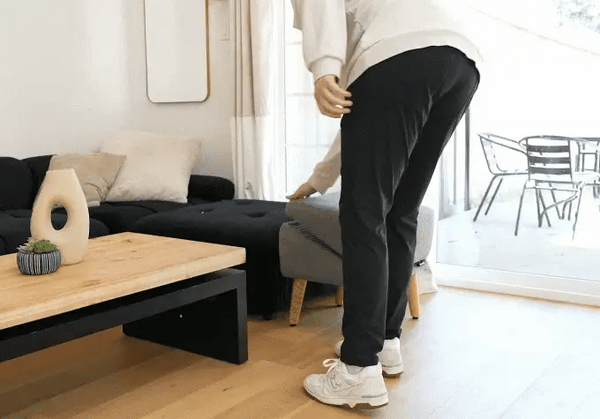 Luxe Hondenpoef met Trap